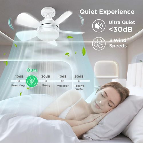 4 - 2025-08-20T040058.440