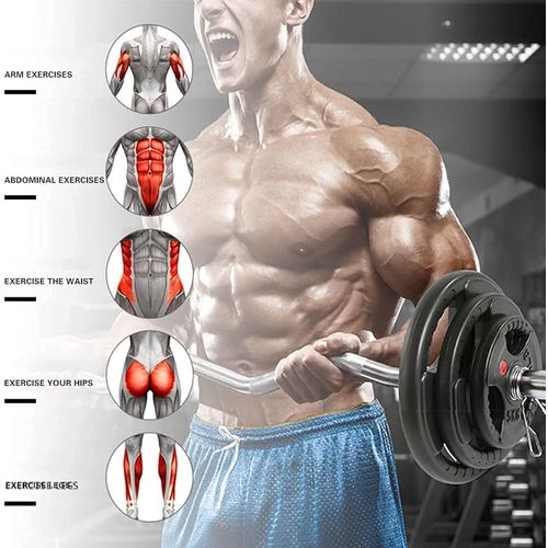 4 - 2025-09-29T042243.286