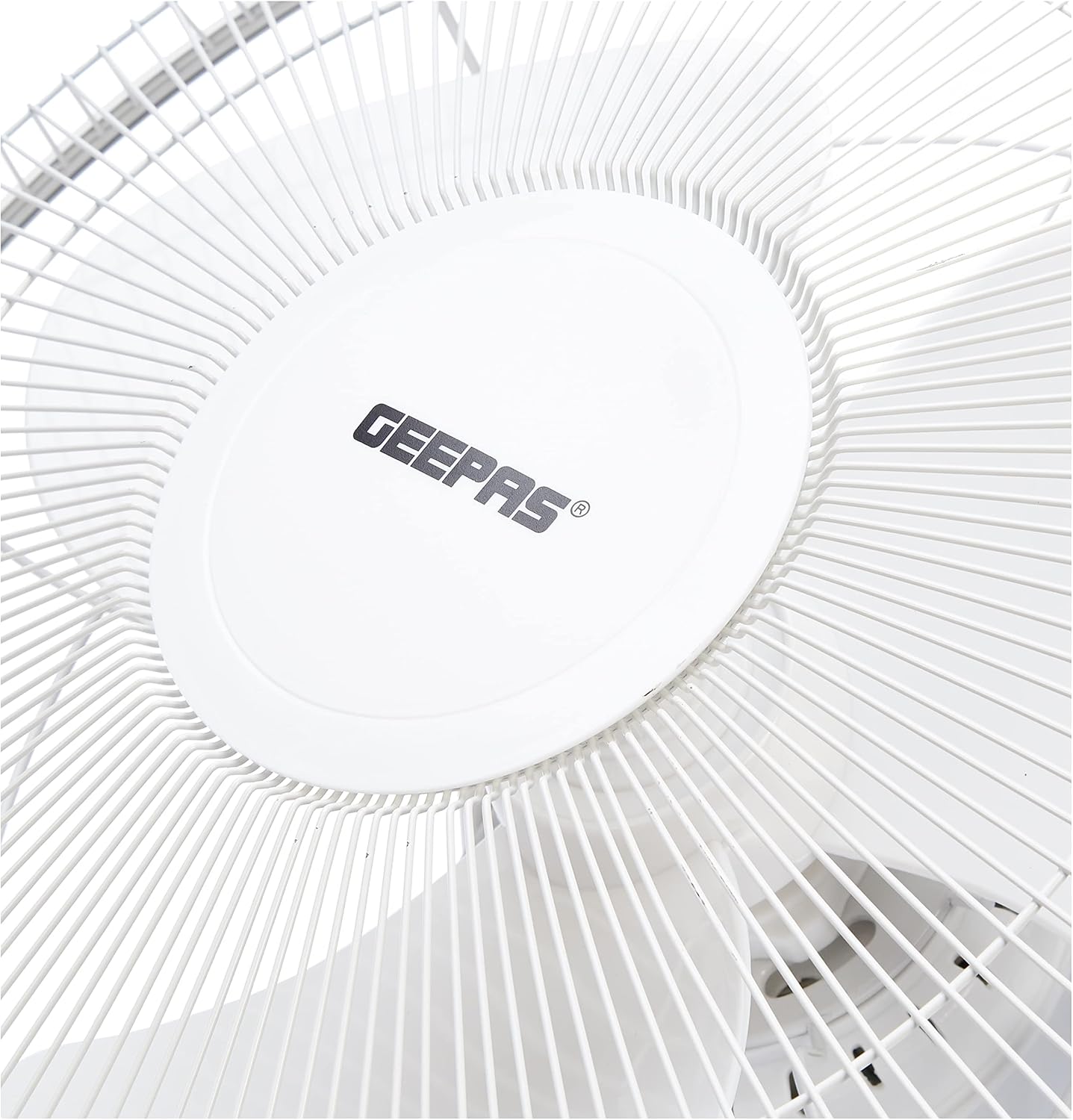 81stgbqYyaL._AC_SL1500_