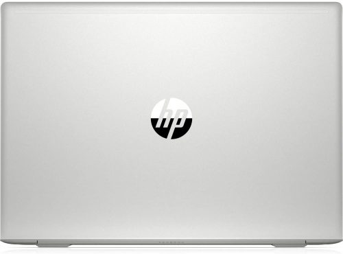 HP ProBook 450 G7 15.6" Notebook - 1920 x 1080 - Core i7 i7-10210U - 8 GB RAM - 256 GB SSD - Pike Silver