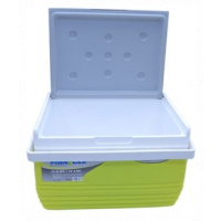 Pinnacle 11L Insulation/ Cooler Box/ Ice Chest - Green