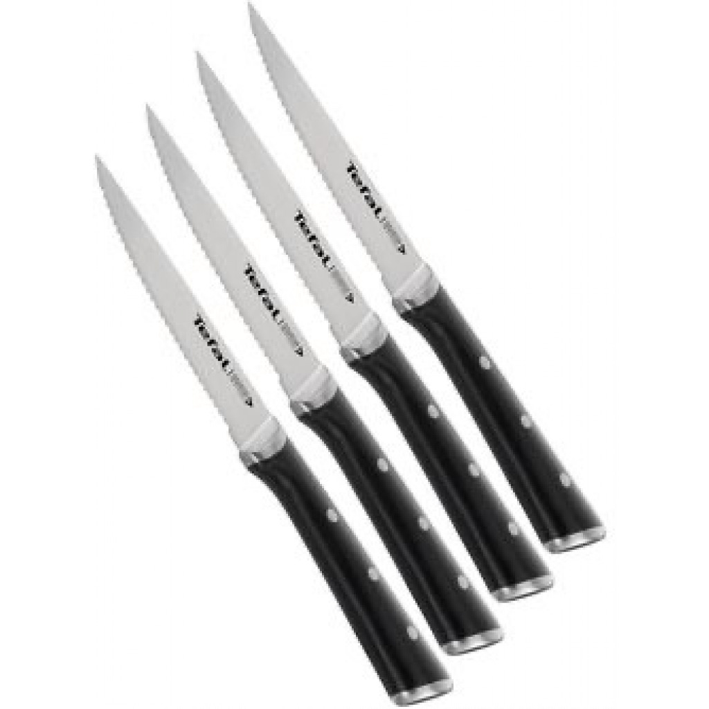 Tefal Stainless Steel steak Knives-set of 4- Ice Force