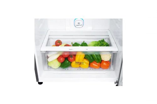 LG GL-F652HLHU Net 438(L) Top Freezer Refrigerator | DoorCooling+™ | HygieneFresh+™ Fridge-Silver