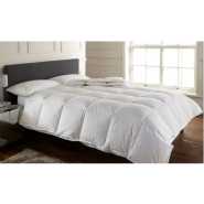 1872AB1A 4BB4 4E9B A59F 82BBDD7DCB3D