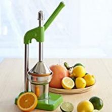 Stainless Steel Manual Lever Press Citrus Juicer-Green