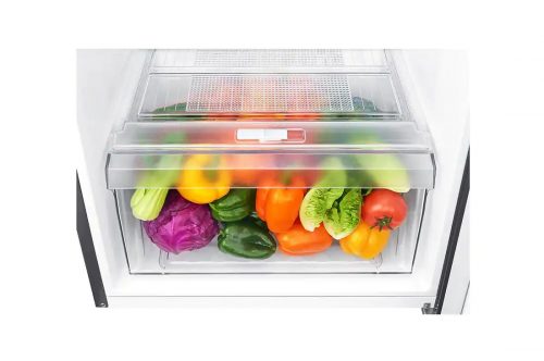 LG 205-Litres Fridge GN-B202SQBB; Gross 205(L) Net 187(L) Top Freezer Refrigerator | Multi Air Flow | Inverter Compressor