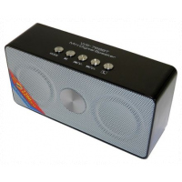 Wster Ws Mini Speaker, With FM Radio, Micro SD, USB - Black,Grey