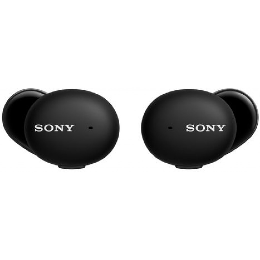 Sony True Wireless Street Buds Headsets Bluetooth 5.0 Earbuds (Black/White)