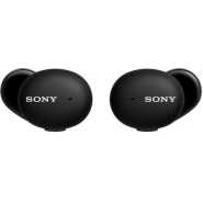 Sony True Wireless Street Buds Headsets Bluetooth 5.0 Earbuds (Black/White)