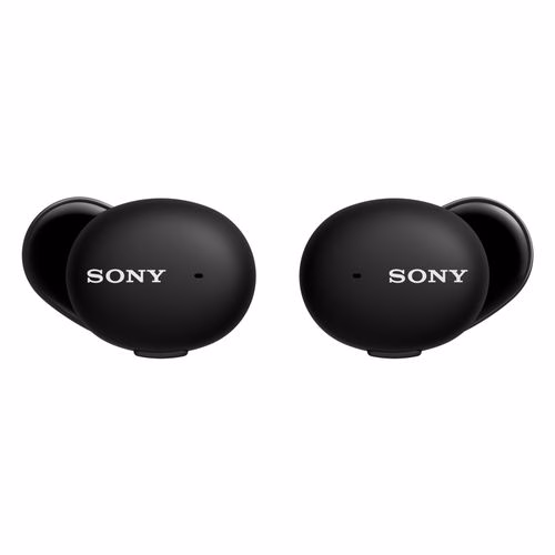 Sony True Wireless Street Buds Headsets Bluetooth 5.0 Earbuds (Black/White)