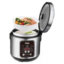 Dsp 5Litre Multi-functional Rice Cooker Steamer Pan, Silver Rice Cookers TilyExpress