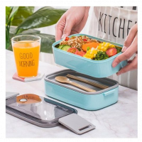 Double-Layer Food Lunch Box, Leakproof Container,Microwave Safe, Color May Vary