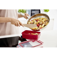 Tefal K3102112 - Masterseal Micro - Special microwave box - 0.8 L - Red