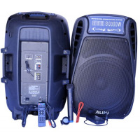 AILIPU Dual 15" Amplified Public Address Speaker - Black