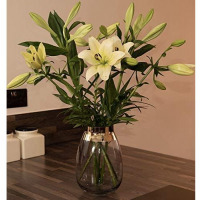 Glass Lights, Flower Vase For table, living room kitchen Decor, Grey Vases TilyExpress 4