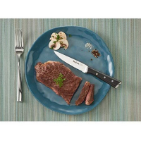 Tefal K232S414 Ice Force Stainless Steel Steak Knifes - Set of 4 - 11cm, Black
