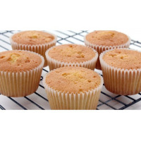 1000 Piece Cupcake Liners Food Grade & Grease-Proof Paper Baking Cups, Cream
