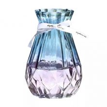 Transparent Glass Flower Vase Living Dining Room Decoration, Color May Vary