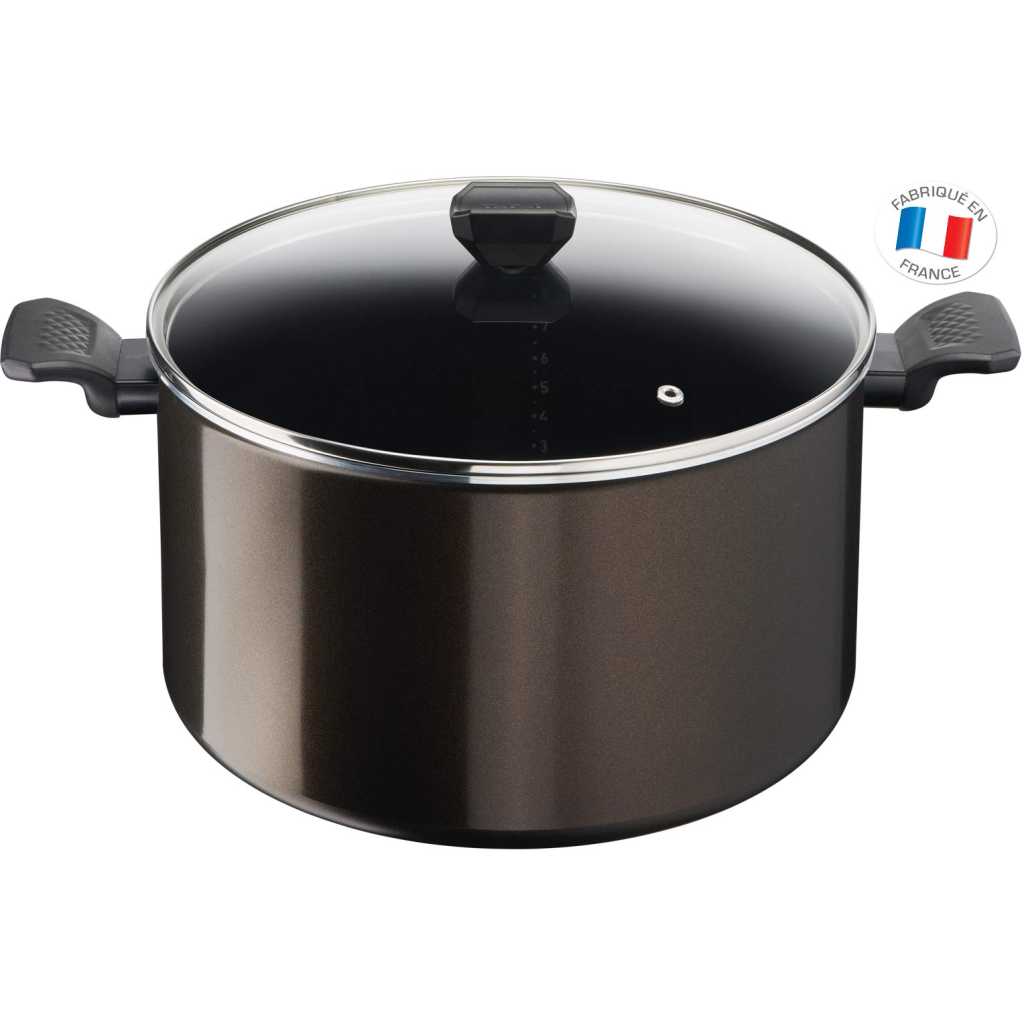 Tefal Easy Cook & Clean B5546902 30 CM Non-Stick Cooking Pot with Lid Suitable for All Heat Sources Except Induction