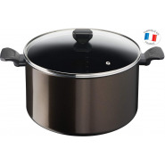 Tefal Easy Cook & Clean B5546902 30 CM Non-Stick Cooking Pot with Lid Suitable for All Heat Sources Except Induction