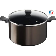 Tefal Easy Cook & Clean B5546902 30 CM Non-Stick Cooking Pot with Lid Suitable for All Heat Sources Except Induction