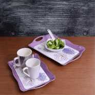 Delcasa DC1647 2Pcs Melamine Tray set 12"+15"