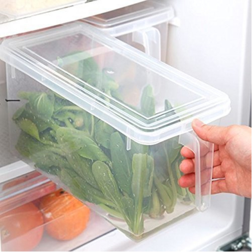 ABS Plastic Fridge Storage Box with Handle and Cover Containers Set for Vegetables, Fruits, Fish, and Egg ( Transparent) Food Savers & Storage Containers TilyExpress