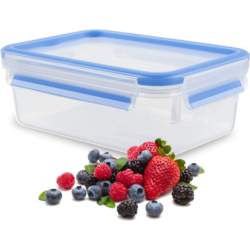 Tefal K3021112 MasterSeal Fresh Box, Plastic Food Storage Container, Keeps Food Fresher for Longer and 100 Percent Leakproof, 0.55 Litre