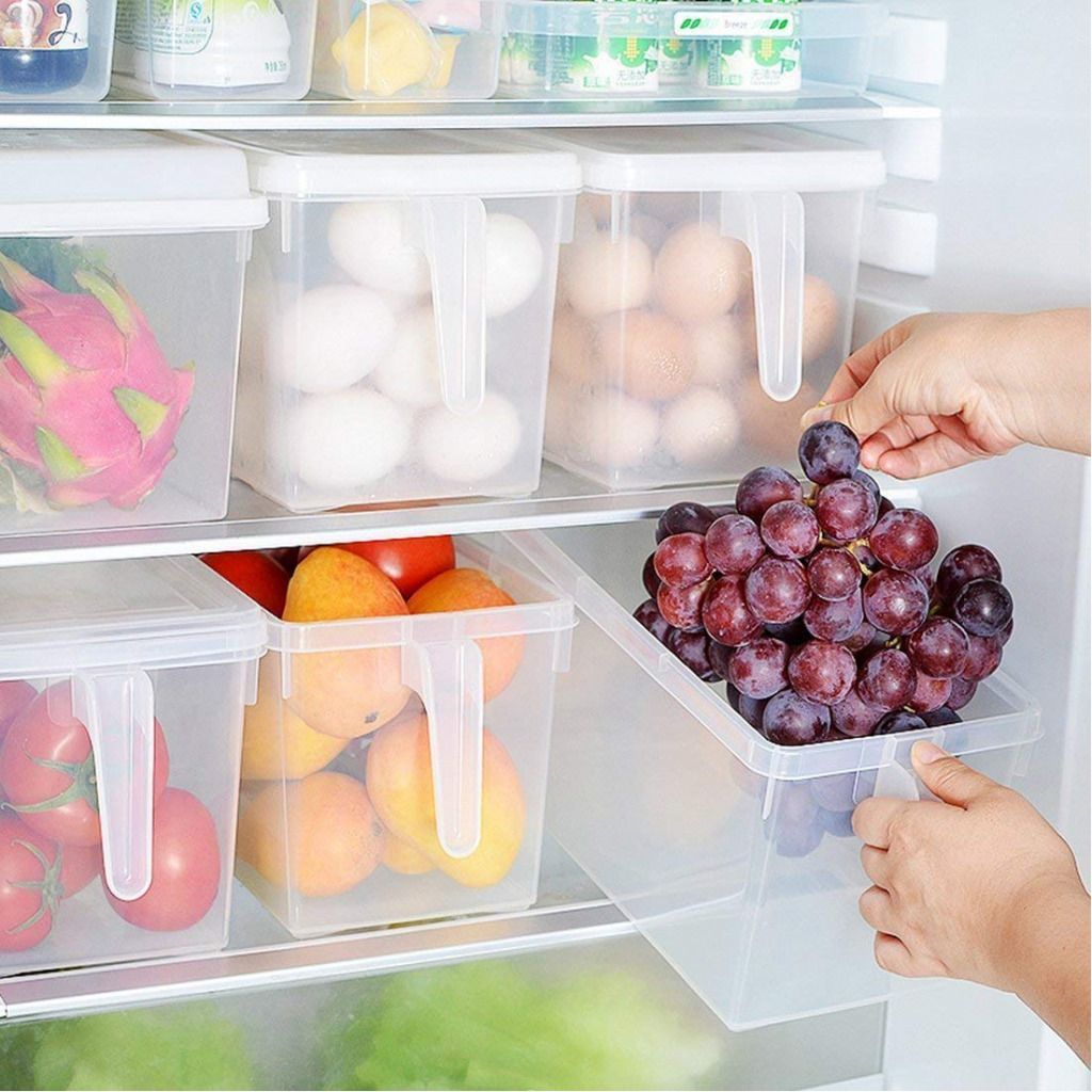 ABS Plastic Fridge Storage Box with Handle and Cover Containers Set for Vegetables, Fruits, Fish, and Egg ( Transparent)