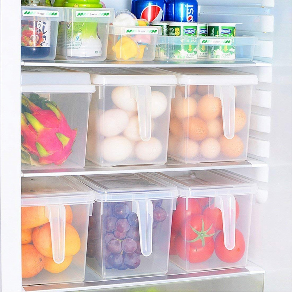 ABS Plastic Fridge Storage Box with Handle and Cover Containers Set for Vegetables, Fruits, Fish, and Egg ( Transparent)