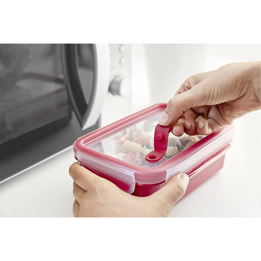Tefal K3102312 Master Seal Micro Rectangle Food Storage with Inserts, Red/Clear, 1 Litre