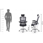 High-Back Black Mesh Swivel Ergonomic Executive Office Chair with Flip-Up Arms and Adjustable Headrest Home Office Desk Chairs TilyExpress