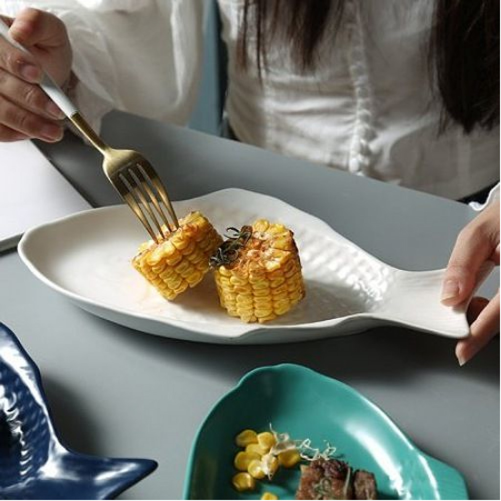 15 Inch Steak, Fish Plate Tray Dinner Platter, Bowl- White Accent Plates TilyExpress 3