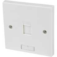 Single Face Plate For RJ45, Ethernet Switch (White)