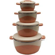 4 Pieces Insulated Hot Pot Dishes Food Container Casseroles - Multi-colour