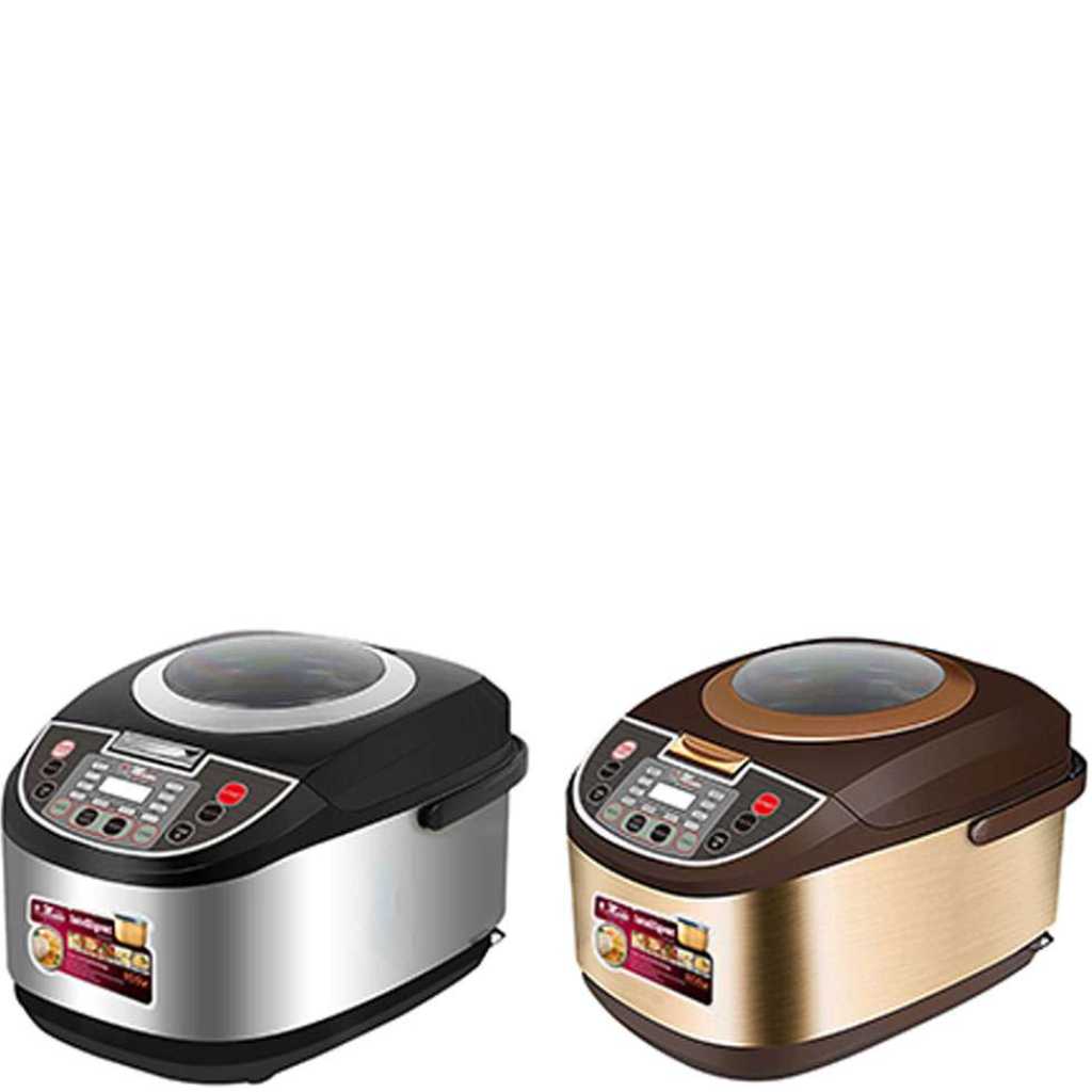 Electro Master Multi Cooker EM-MC-1045, 5L, 1200W With See Through Lid