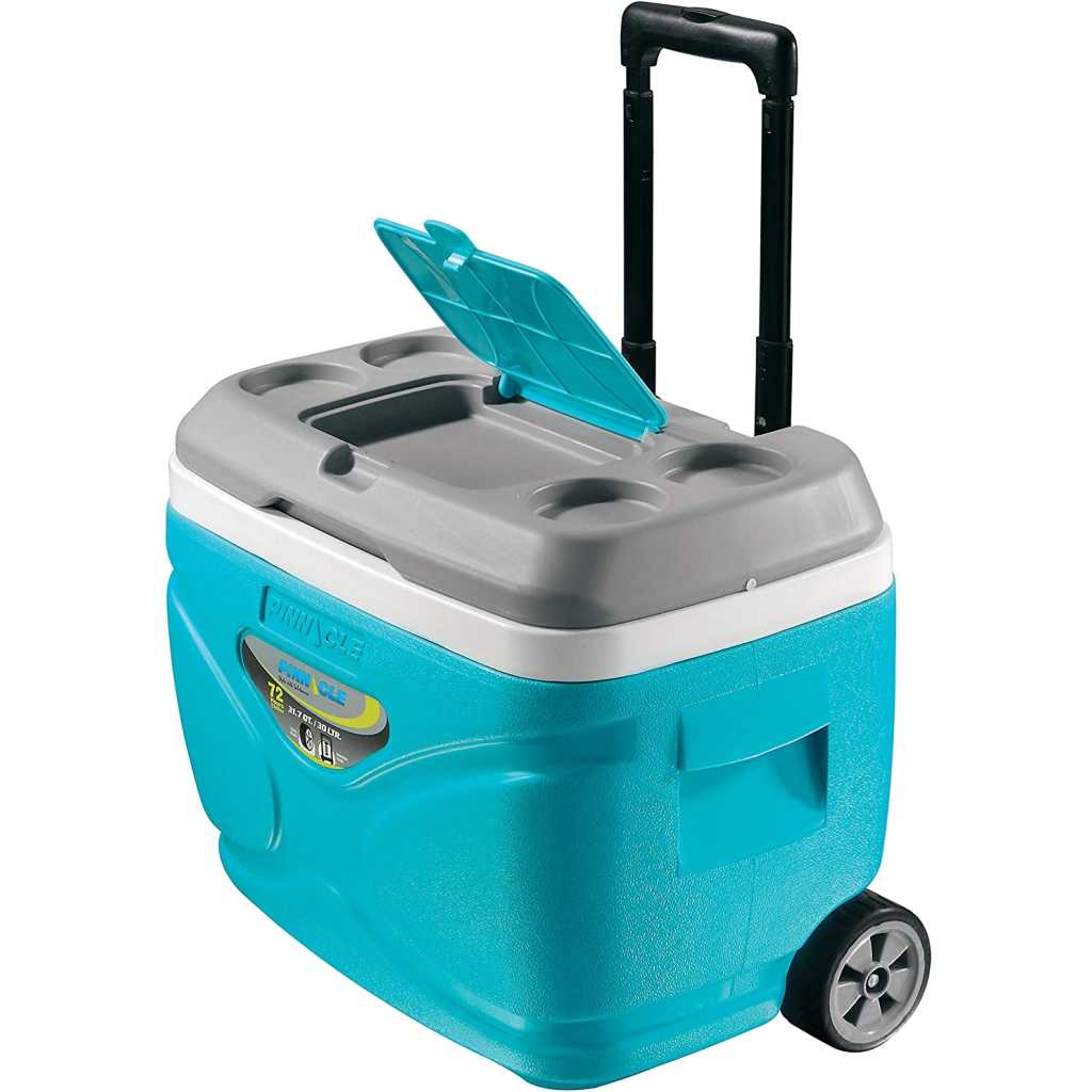 Pinnacle Prudence Ice Cooler Box (Keeps Cold Upto 72 Hours) (66L Blue)