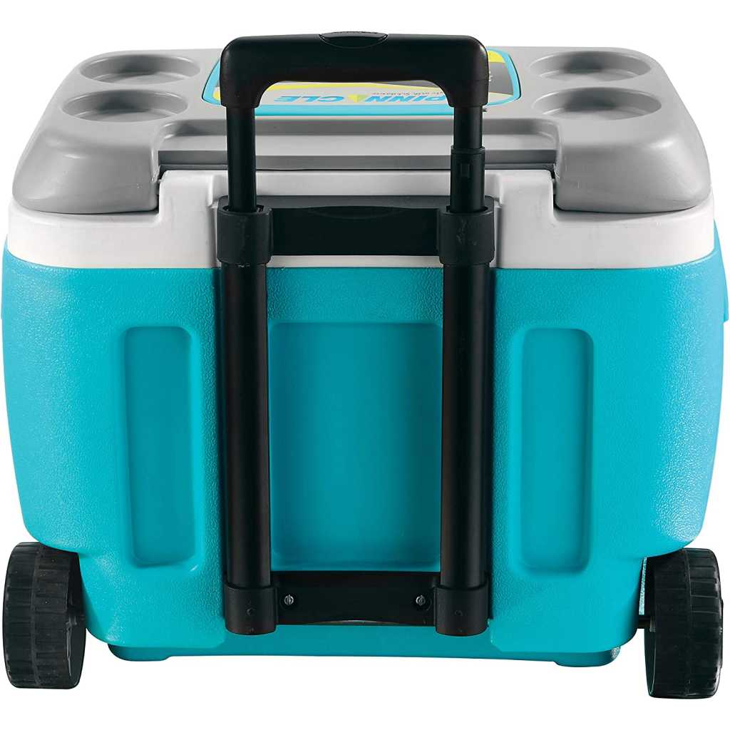 Pinnacle Prudence Ice Cooler Box (Keeps Cold Upto 72 Hours) (66L Blue)