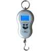 Electro Master Portable Electronic Weighing Scale 50kgs EM-HS-1235 - Silver