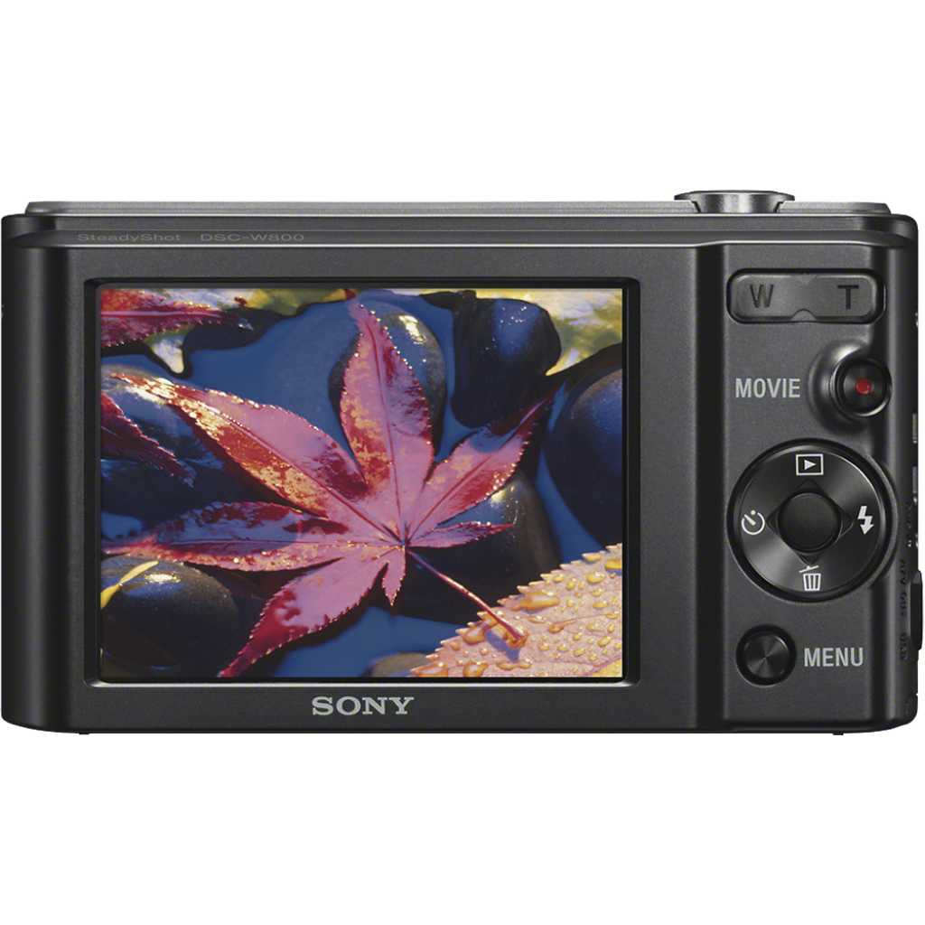 Sony - DSC-W800 20.1-Megapixel Digital Camera - Black