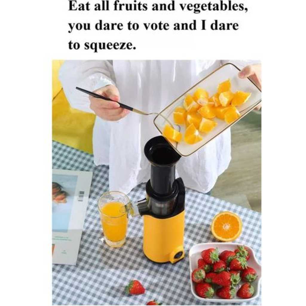 Electric Slow Juicer Fruit Blending Machine- Black.