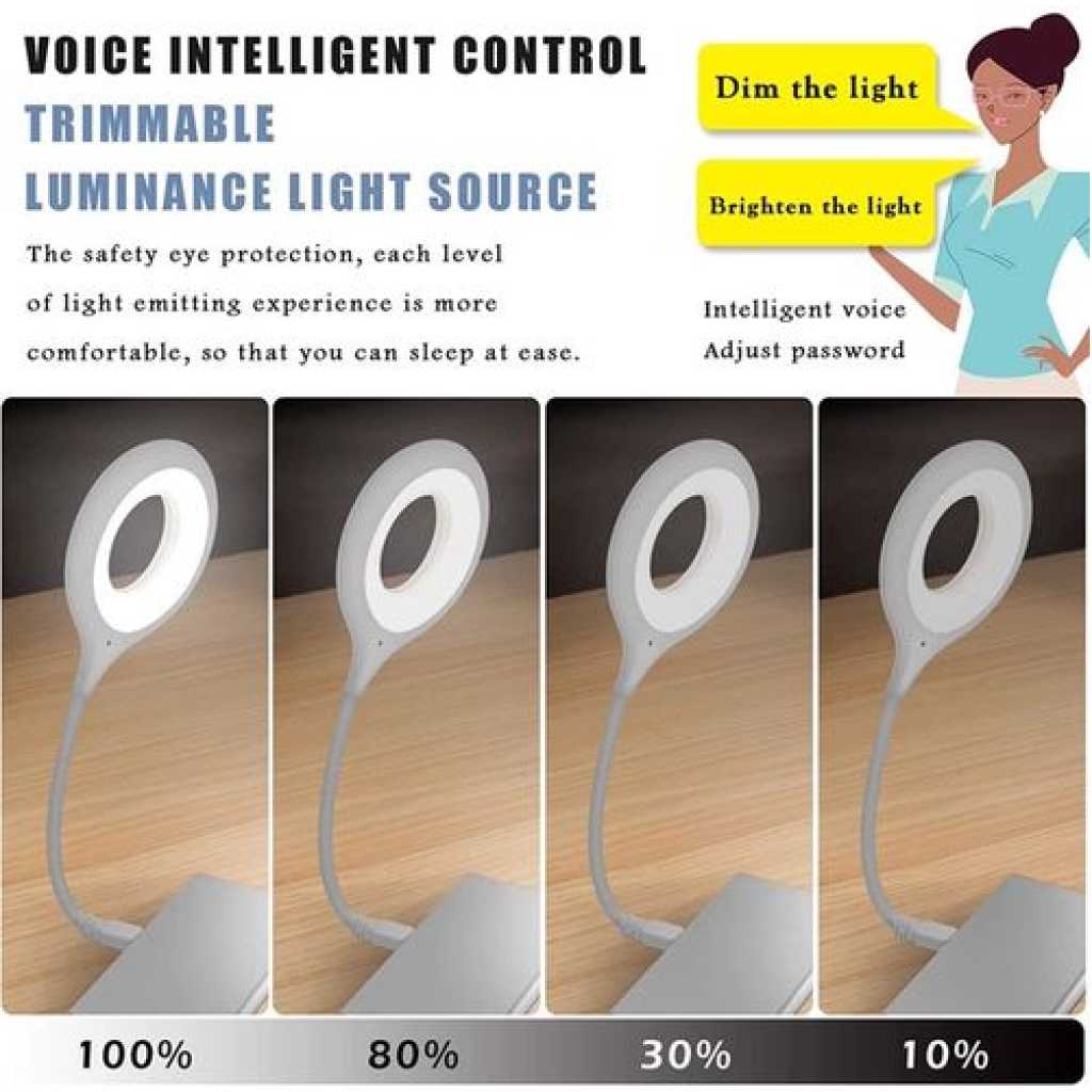 USB Smart Voice Control Led Table Lamp For Bedroom Living Room Office Desk Lamp Intelligent Voice Night Light- White