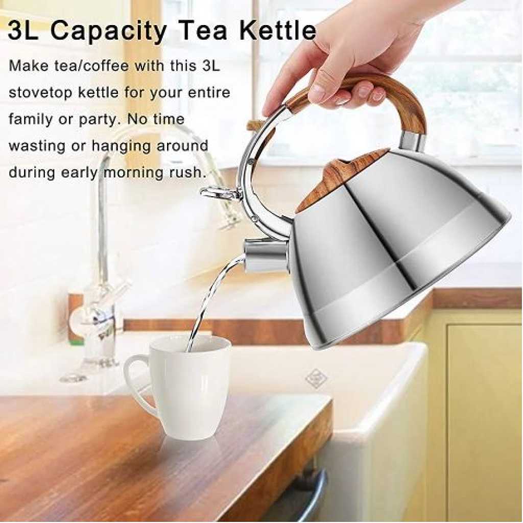 Kaisa Villa 3L Stovetop Teapot Stainless Steel Whistling Tea Kettle- Silver