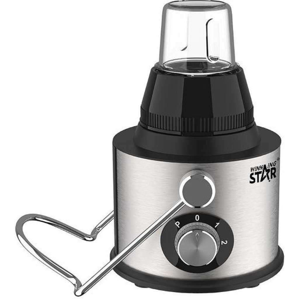 Winning star Multifunctional 4 In 1 Blender Juice Extractor Slow Masticating Juicer Machine Food Processor - Multicolor