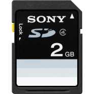 Sony 2 GB Flash Camera Memory Card SF2N1/TQ (Black)